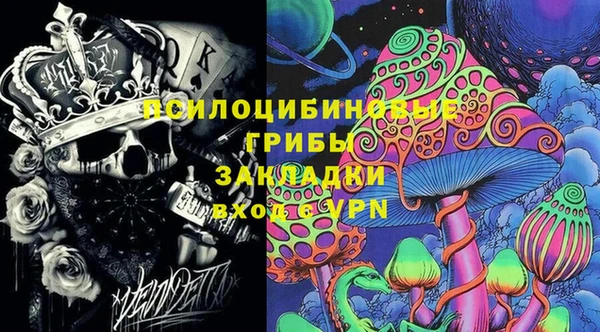 mdpv Горно-Алтайск