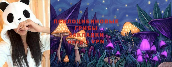 spice Горнозаводск