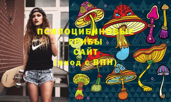 spice Горнозаводск