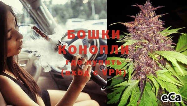 mdpv Горно-Алтайск