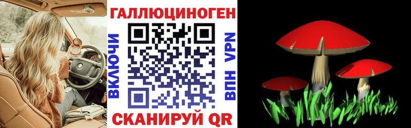 Купить где  Ангарск  Галлюциногенные грибы мицелий